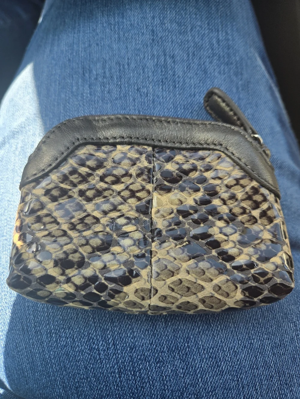 Brighton Snake-Print Mini Coin Purse - Picture 2 of 6